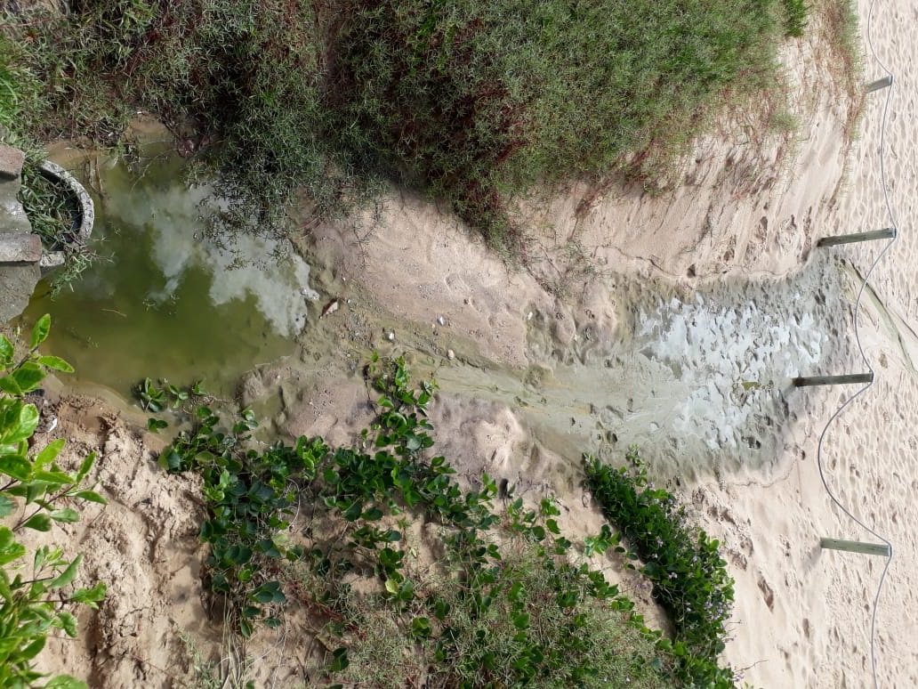 Água verde com limo é descartada de forma irregular na praia do Estaleirinho 1 localiza ligação que descartou efluente irregular na praia do Estaleirinho