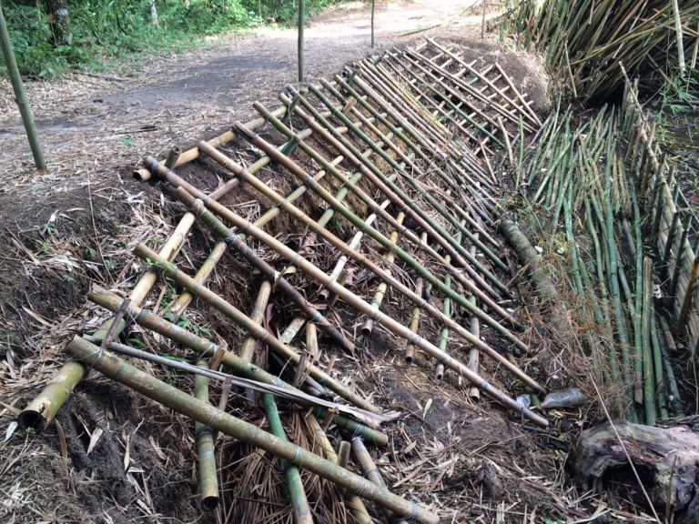Técnica que utiliza materiais naturais é usada para recuperar área do Parque Raimundo Malta