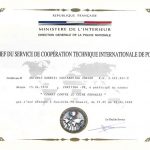 certificados castanheira 3