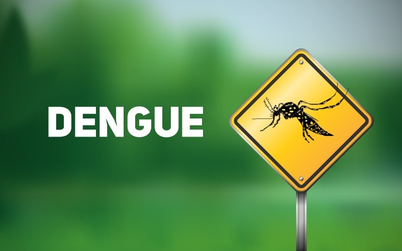 Balneário Camboriú tem segundo óbito por dengue em 2024