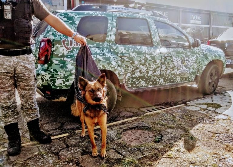 Morador de rua é detido por manter cão com saco de lixo amarrado no pescoço