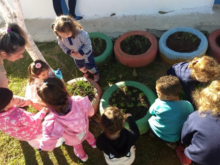Alunos de Núcleo Infantil  produzem seus próprios alimentos em horta escolar