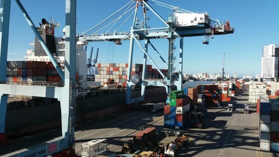 Complexo Portuário de Itajaí e Navegantes registra crescimento de 23% na movimentação de contêineres