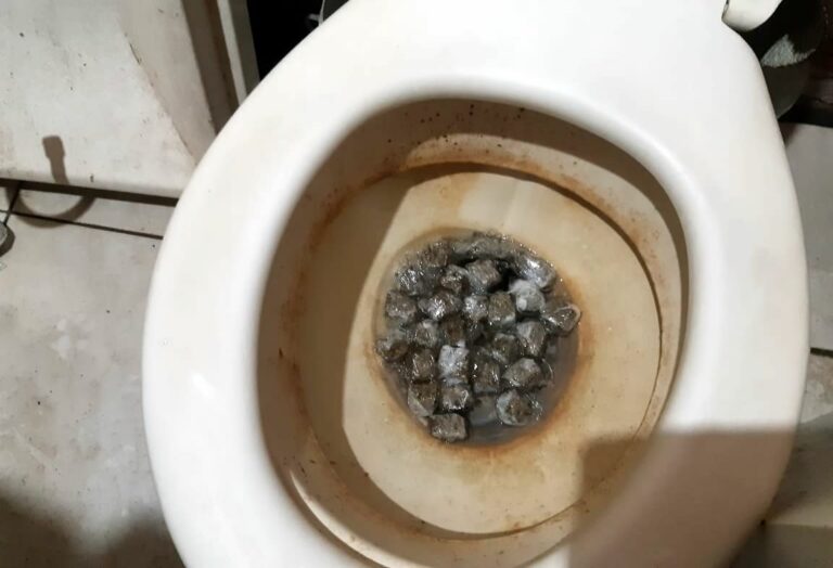 Casal joga droga no vaso sanitário para tentar se livrar de flagrante no Conde Vila Verde
