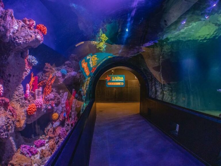 Oceanic Aquarium comemora dois anos com 1 milhão de visitantes