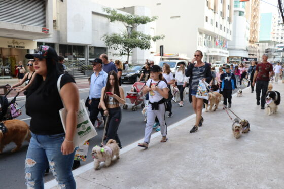12ª Cãominhada reúne 300 cães e tutores em Balneário Camboriú