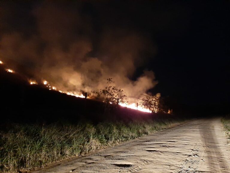 Bombeiros combatem incêndio florestal em Itajaí