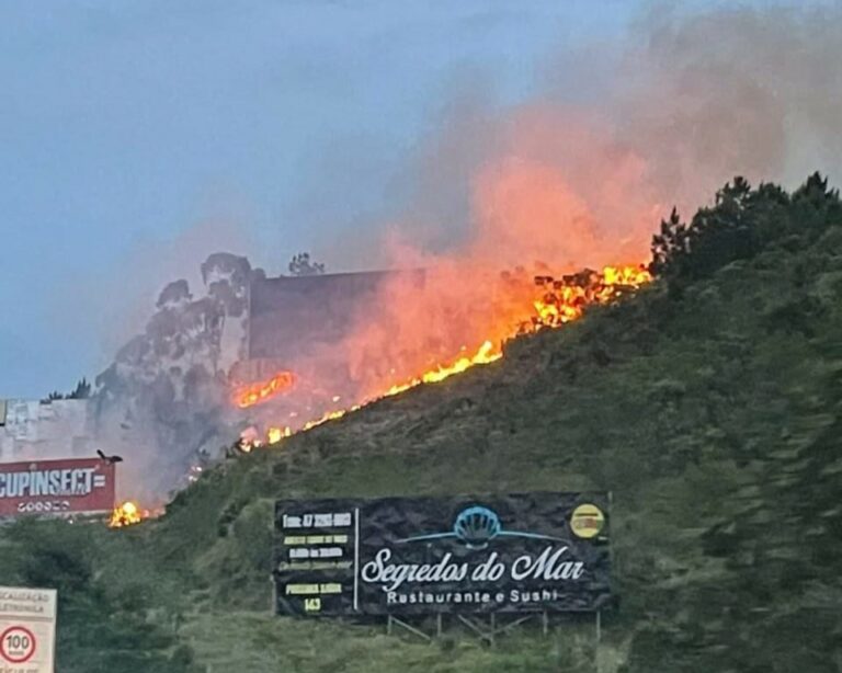 Bombeiros combatem incêndio florestal no Morro da Calota, em Itapema