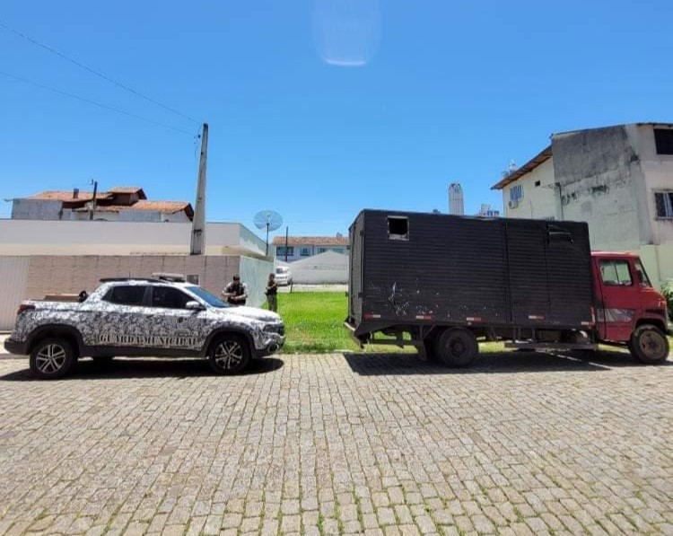 Cavalos são deixados trancados em caminhão por três dias na rua 2850