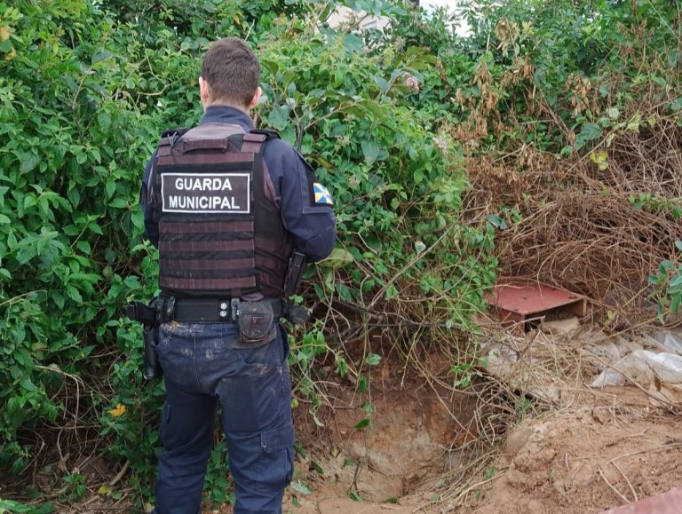 Abrigo subterrâneo é descoberto em restinga na Praia Brava