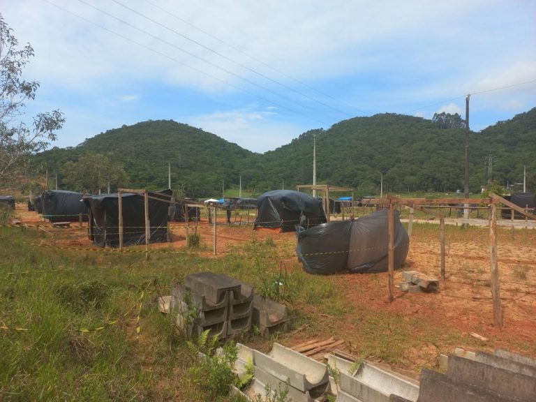 Polícia Militar cumpre ordem judicial de reintegração de posse no interior de Camboriú