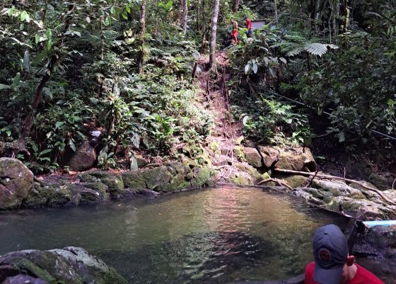 Tragédia em cachoeira: mulher não sobrevive a afogamento em Itapema