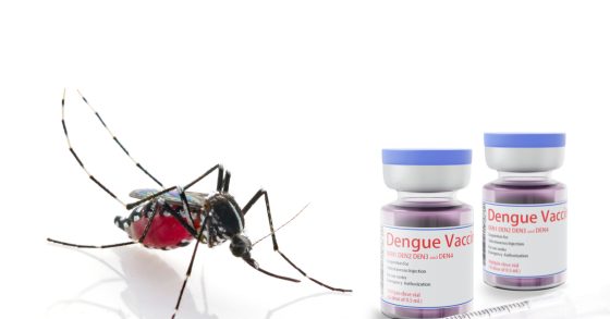Santa Catarina não receberá doses da vacina contra a dengue na 1ª remessa