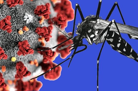 Sobe para 210 o número de casos confirmados de dengue em Balneário Camboriú