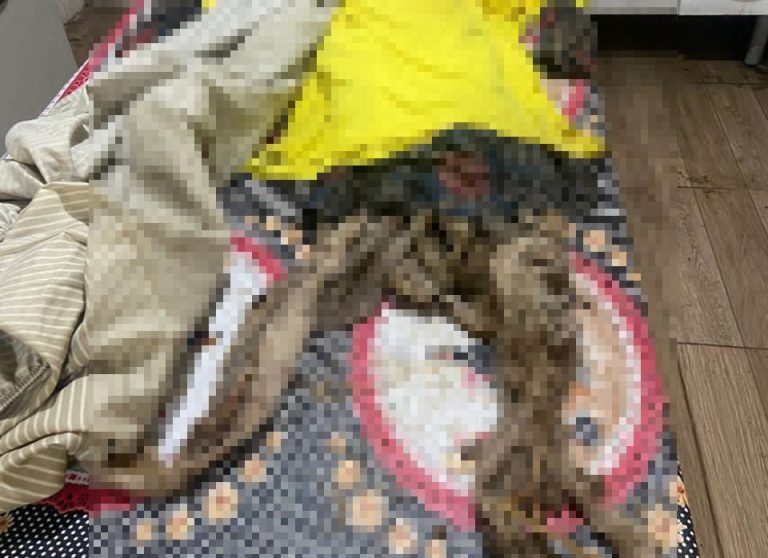 Bizarro e macabro: idoso retira restos mortais da mãe do cemitério e leva para casa em SC